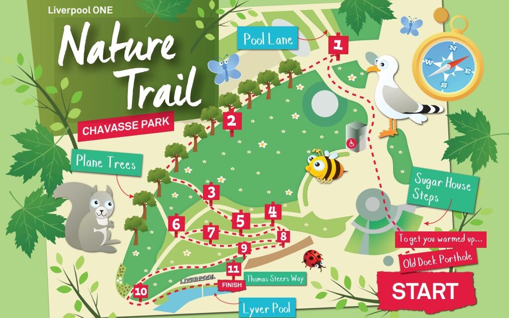 Nature Trail at Liverpool ONE