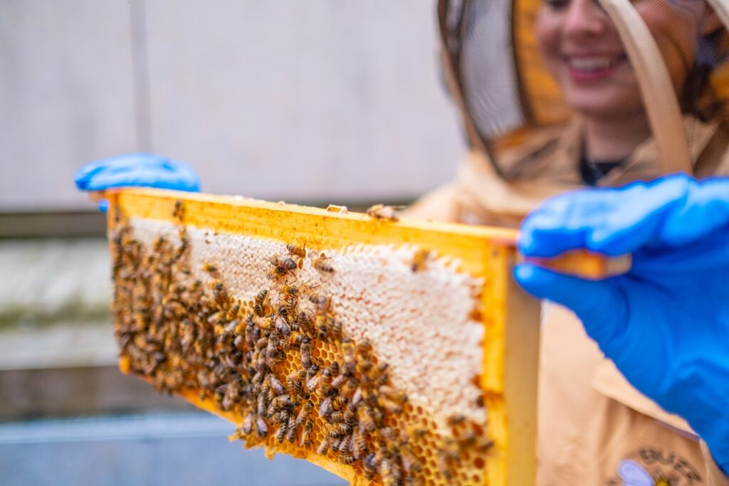 Liverpool ONE was buzzin' this World Bee Day