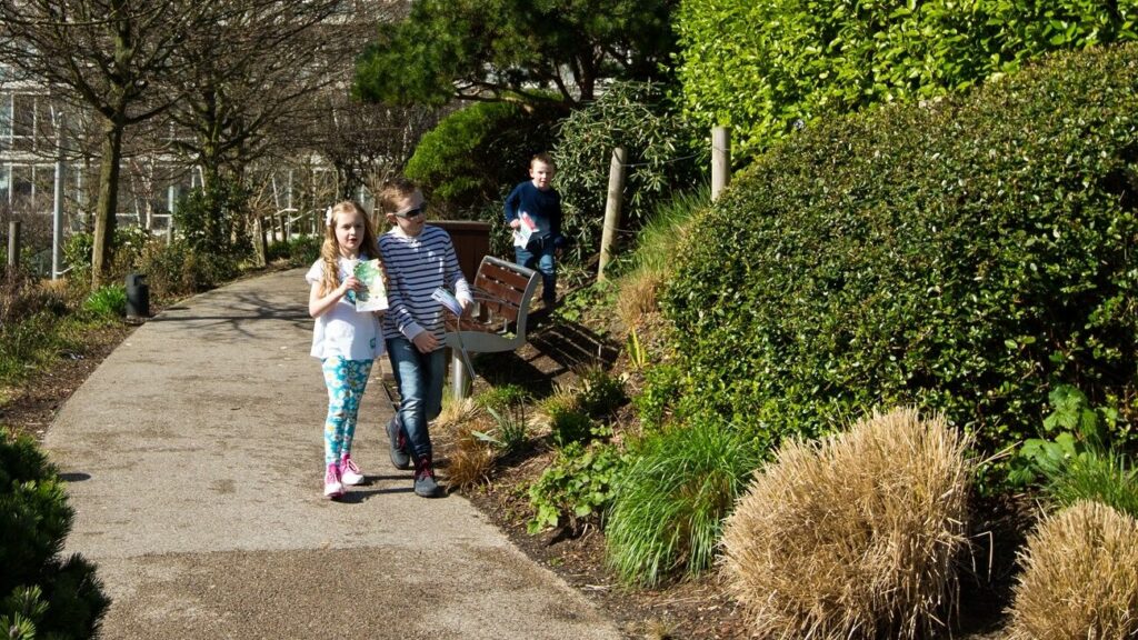 Nature Trail at Liverpool ONE