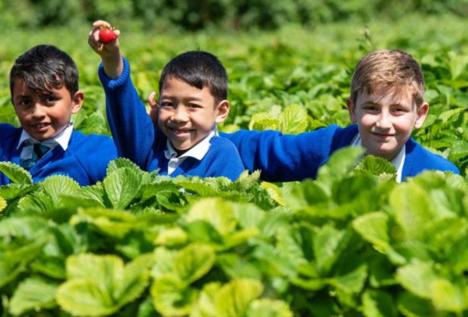 Liverpool's youngest food producers set up stall at Liverpool ONE