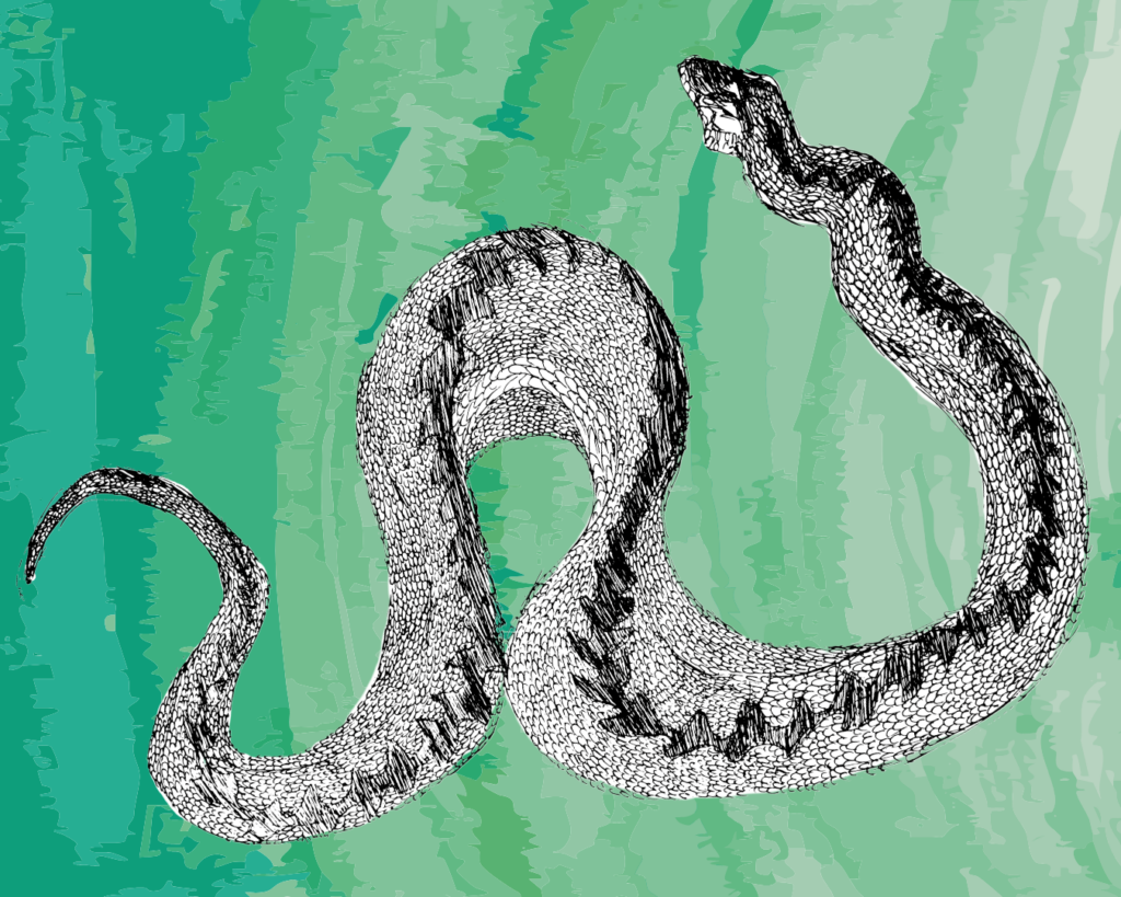 The Bluecoat Seeking Serpents